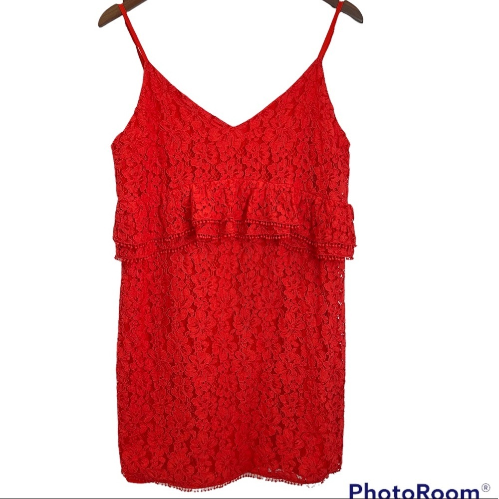 The Impeccable Pig Red Lace Dress